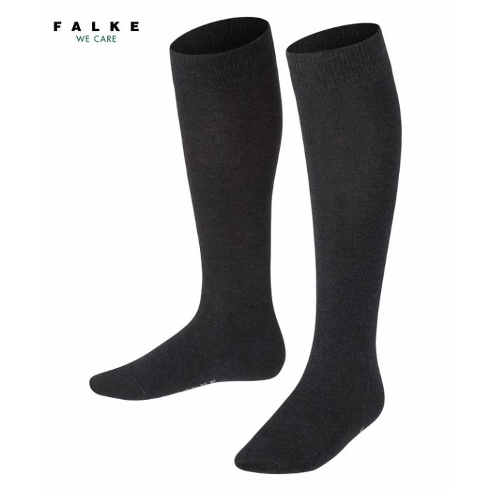 Meia Alta Falke Family